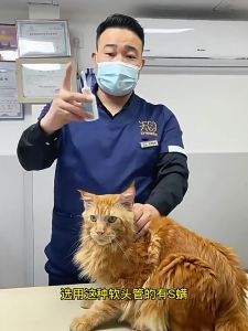 Pet ear cleaning solution for mites designed for both cats and dogs