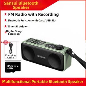 Bluetooth Dual Speaker High Power Portable Dancing Audio Player