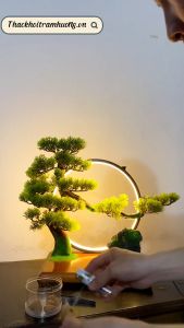 Bộ tiểu cảnh để bàn [ Như Hình-kèm Phụ kiện] Bộ Bonsai mini dùng trang trí decor