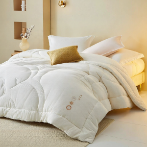 Mercury | Warm Antibacterial Spring and Autumn Quilt