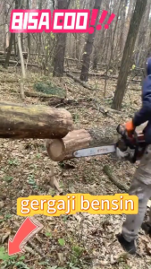 Gergaji Rantai Bensin REAIM 58CC 4500W - Mesin Potong Kayu 20" Daya Tinggi Bensin Irit untuk Kayu Besar & Kebun