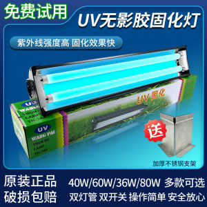 Uv Curing Lamp UV Light Source Glass Display Case UV Lamp 365nm for Home Decoration Lighting