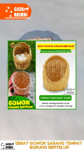 SERAT GOWOK SARANG TEMPAT BURUNG BERTELUR tempat mengerami telur