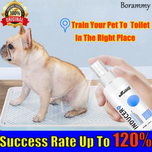 Potty Trainer for Dogs & Cats: A Comprehensive Guide