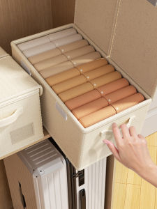 Maryya | Foldable Drawer Storage Box