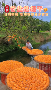 Licorice Loquat Sweet Sour Pitted Throat Comfort Snack