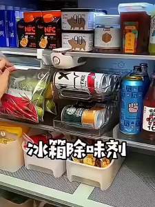 Indoor Room Dehumidifier Anti-Mold Deodorizing Activated Moisture Absorber Penyerap Lembapan 除湿盒 衣柜