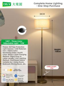DGY | Modern Minimalist Luxurious Black and Gold Floor Lamp