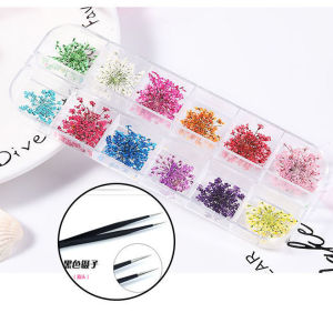 Plant Dry Flower Nail Art 12 Colors Nail Polish Boxed Lace Flower Real Flower Nail Decorations Long Strip Diamond Boxed Starry Sky