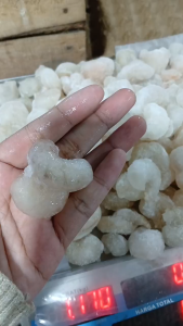 udang kupas cook isi 1kg/udang kupas/murah/seafood/frozen