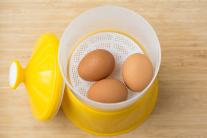 Half Boiled Egg Container Cooker 4 eggs / Bekas Rebus Telur Separuh Masak