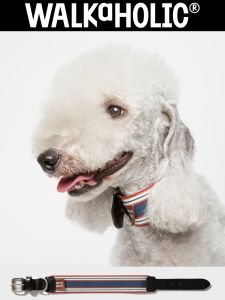 Walkaholic Genuine Leather Dog Collar Extra Wide for Medium to Large Dogs Pet Supplies Cat And Dog Leashes And Accessories