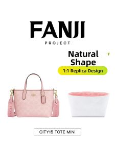 FANJI PROJECT | 适用于 Coach City 15 的 Mini 托特包
