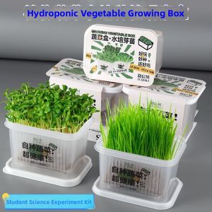 Educational Plant Growing Kit Small Pot