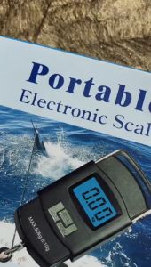 Timbangan Gantung Digital Portable Weiheng WH-A08 50kg Electronic Scale LCD Display