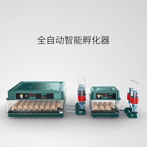 Egg Incubator Fully Auto Rotation Egg Incubator Intelligent Digital Hatcher Brooder 12V/220V Chicken Poultry Hatcher Temperature Control Digital Hatcher Brooder with Temper