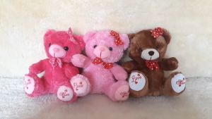 Dreamtoys96 Boneka Beruang Lucu Telapak Love M