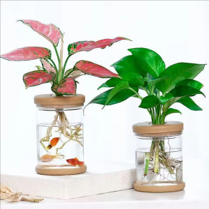 YESPERY 3Pcs Transparent Hydroponic Vase Simple Style Plant Flower Pot Flower Arrangement Home Tabletop Decoration