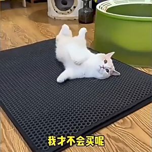 Cat Litter Mat 45x60cm Waterproof Cat Mat Anti-Splash EVA Double Layer Filter Anti-Leakage Control Litter Mat