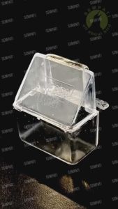 SEMPATI Cepuk Wadah Pakan Minum Burung Lovebird Elite Song CKLBPES