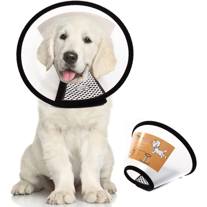 Neck Dog Shame Collar Extra Large Dog Elizabethan Collar – Pawsbetter
