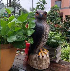 Balcony Owl Eagle Bird Deterrent Model Realistic Owl Hawk Simulation Ornament Fruit Basket Decoration Chinese New Year Gift