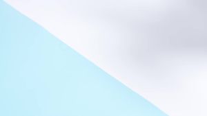 Elastic Arm Band Sleeve Garters for Men Women 2 Pairs of Shirt Long Sleeve Holders Stretchy Adjustable Anti-Slip Armband Shirt Garter Gift for Father Husband Lover Black+Silver