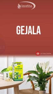 Mengkudu Kapsul Herbal: Solusi Alami untuk Amandel, Radang Tenggorokan & Darah Tinggi