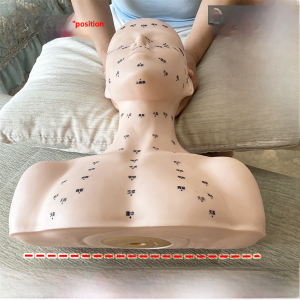 Skin Management Headmodel for Beauty Salon Practice Face Acupoint Massage Hand Technique Wig with Shoulder Pad