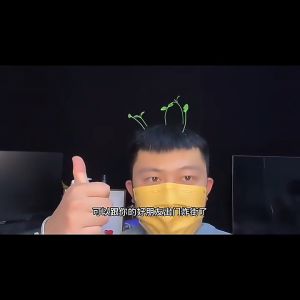 Tooyoo 1pcs Simulation Plant Hairpin Plant Sprout Hairpin Girl Bean Sprout Hairpin