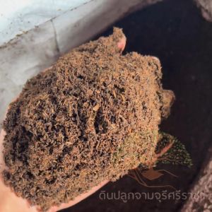 มูลไส้เดือน (980 กรัม) ปุ๋ยมูลไส้เดือน100% ร่อนละเอียด บำรุงต้นไม้