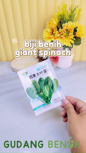 [EKONOMIS] Benih Giant Spinach Bibit Sayuran Bayam JUMBO Isi 300 Benih Sayur Untuk Bayam Goreng