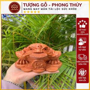 Cóc thiềm thừ ngậm tiền linh vật số 1 chiêu tài Lộc rất tốtcho người mới kinh doanh gỗ hương có 3 kích thước lựa chọn