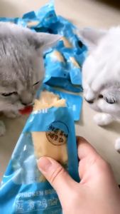 MASTI Pet Snacks Fresh Steam Chicken Breast Natural Poached Chicken For Dogs Cats food