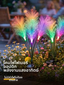 BEAUTY IN THE LIGHT | Solar LED Waterproof Garden Light