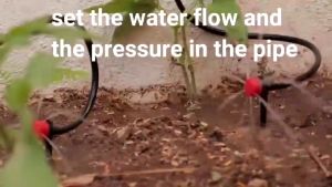 Bộ tưới cây tự động 20 đầu cắm phun 8 tia có thân cắm kèm van nước hẹn giờ