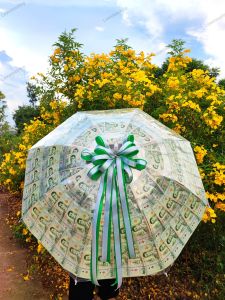 ร่มรับปริญญา/ร่มใสใส่ธนบัตร/ พร้อมริบบิ้นฟรี💚 ใส่ธนบัตรชนิดแบงค์20-1000บาทใส่ทั้งหมด100ใบ