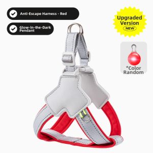 7o | Chest and Back Adjustable Dog Leash for Small and Medium Dogs
