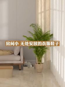 Multi-functional Coat Rack Double-rod Drying Rack Floor-standing Drying Pole Bedroom Hanger Storage Clothes Rack