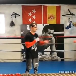 Kick Boxing Reflex Ball With Head Band Fighting Speed Training Punch Ball Muay MMA Exercise Kid Adults Home Equipment