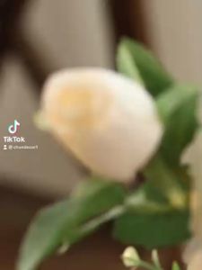 Hoa giả bình hoa mini để bàn nhiều mẫu trang trí nhà cửa cửa hàng văn phòng