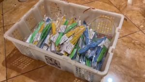 ( isi 50 pcs ) Souvenir PISAU SELONGSONG kemas PLASTIK Kartu Ucapan Suvenir Murah Makassar