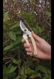 Gunting Dahan Ranting Bunga Tanaman Gunting Alat Berkebun Potong Tanaman Pruning Shears Serbaguna