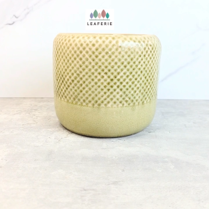 The Leaferie Thanos flowerpots . flowerpot . flower pots . plants pot . plant . planters . planter