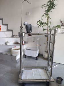 Parrot Bird Pet Birds Stand Stainless Steel Ladder Stand Large Bird Stand Breeding Household Feeding Rack
