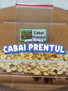 Benih Cabai Rawit Prentul: Sebuah Solusi Hydroponik Sayuran