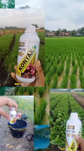 Pupuk Cair Booster Kontax 500ml / NPK Zink Kcl Fase Generatif Membantu Pembesaran Buah dan Mencegah Guguran Bunga