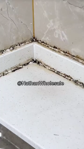 Mold Stain Remover Toilet Kitchen Black Spot Cleaner Multipurpose Cleaner Toilet Stain Remover 污垢清洁剂 黑点去除剂