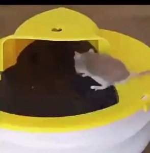 Mouse Bucket Trap Automatic Flip Rat Trap Reusable Mouse Trap Cover for Big Rats Mice Rodent Catcher