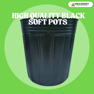 ARNETH BLACK PLASTIC THICK SOFT POTS #6 B